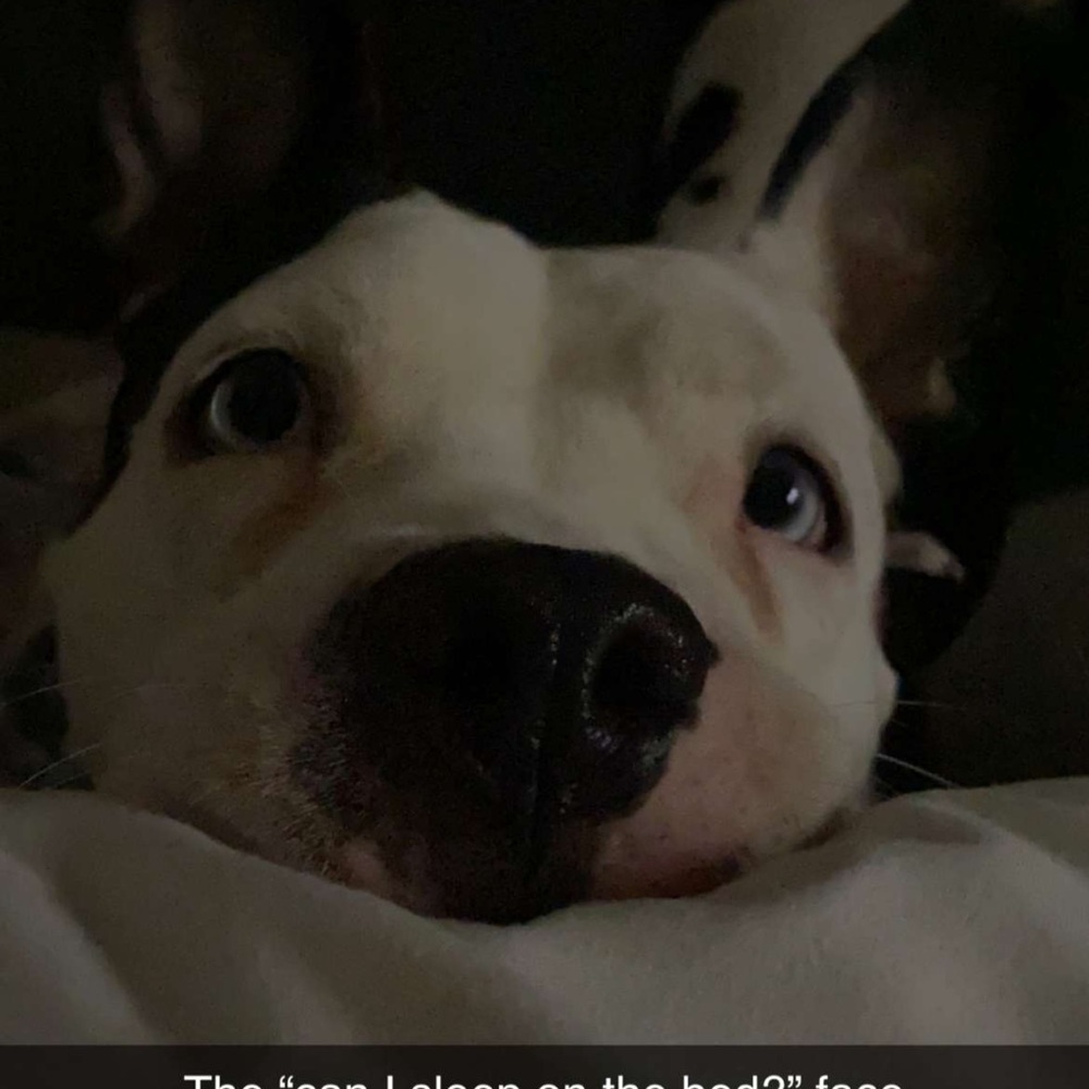 Meet your Posher, Mariel